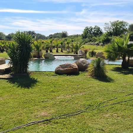 Le Mas Des Cerisiers Jacuzzi Et Sauna Inclus Pour Tous Les Logements Avignon Exteriér fotografie