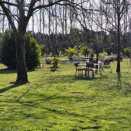 Le Mas Des Cerisiers Jacuzzi Et Sauna Inclus Pour Tous Les Logements Avignon Exteriér fotografie