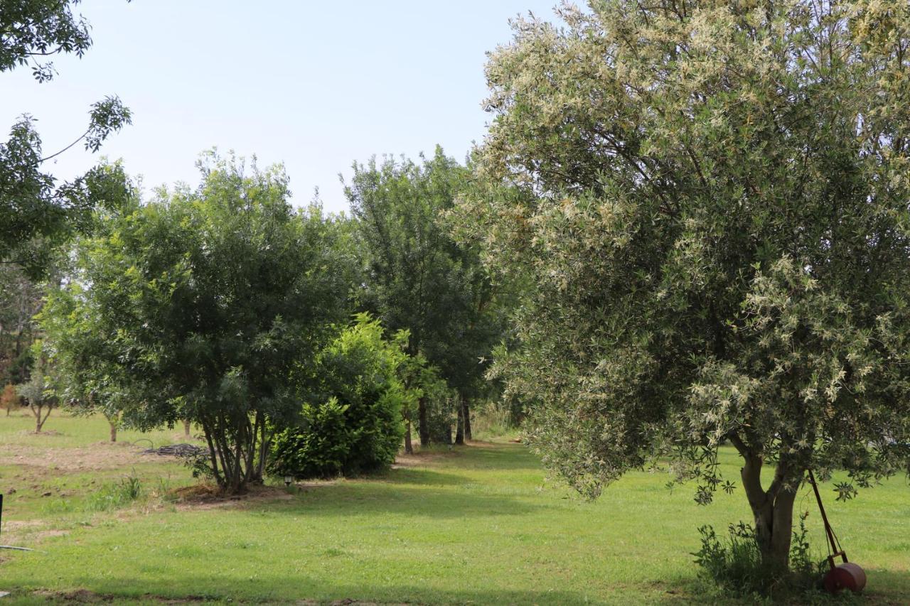 Mas Des Cerisiers Spa-Sauna Inclus Pour Tous Les Logements Avignon Exteriér fotografie