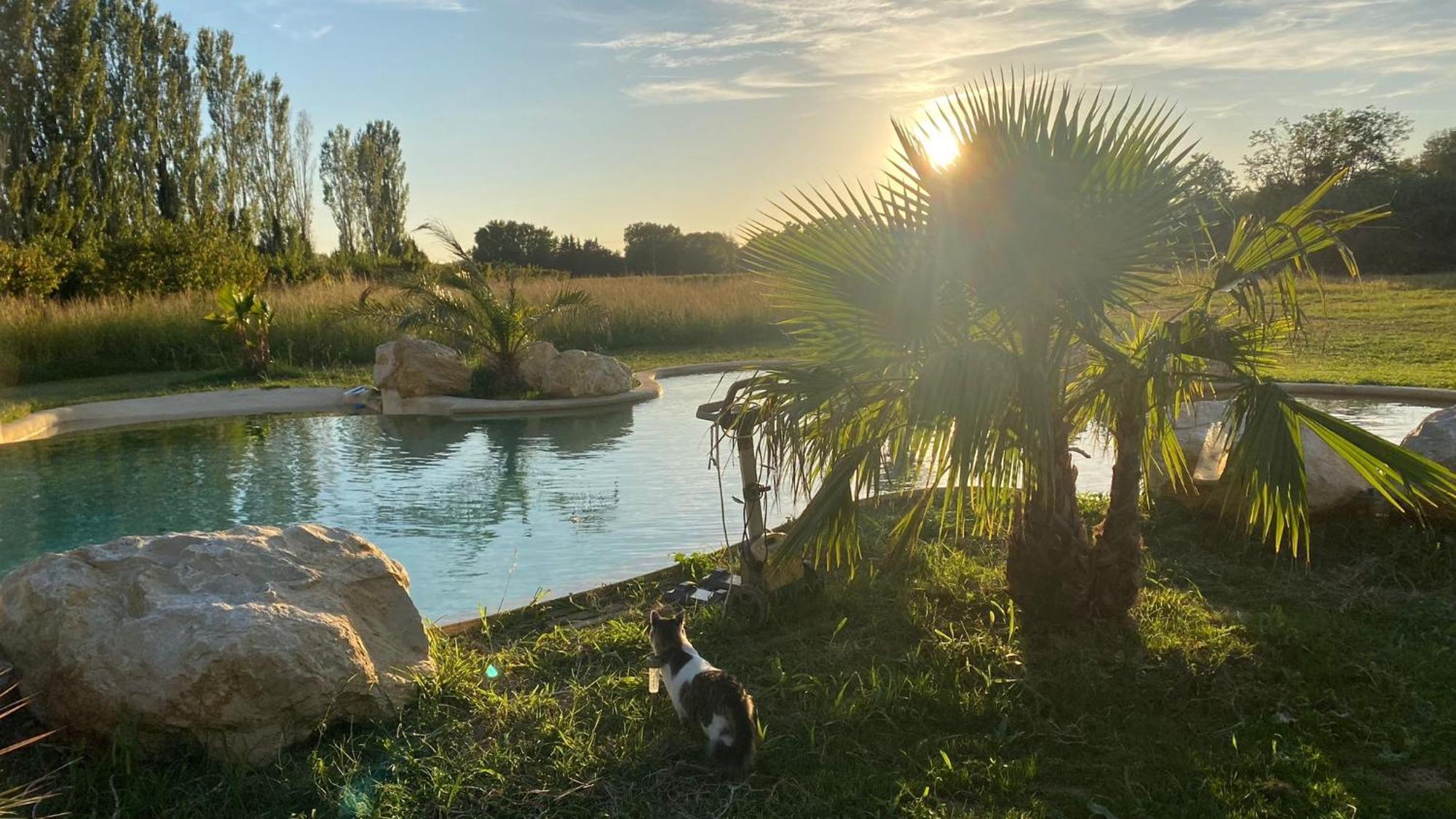 Mas Des Cerisiers Spa-Sauna Inclus Pour Tous Les Logements Avignon Exteriér fotografie