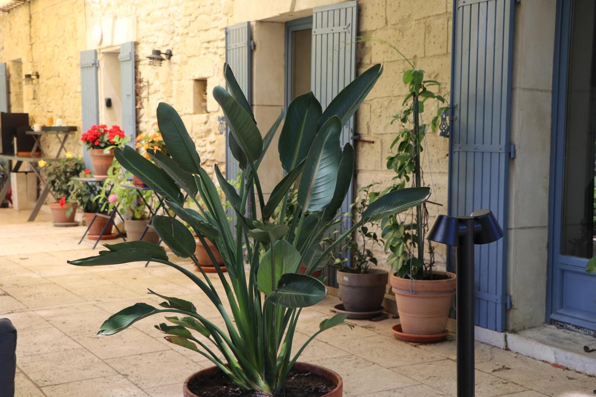 Le Mas Des Cerisiers Jacuzzi Et Sauna Inclus Pour Tous Les Logements Avignon Exteriér fotografie