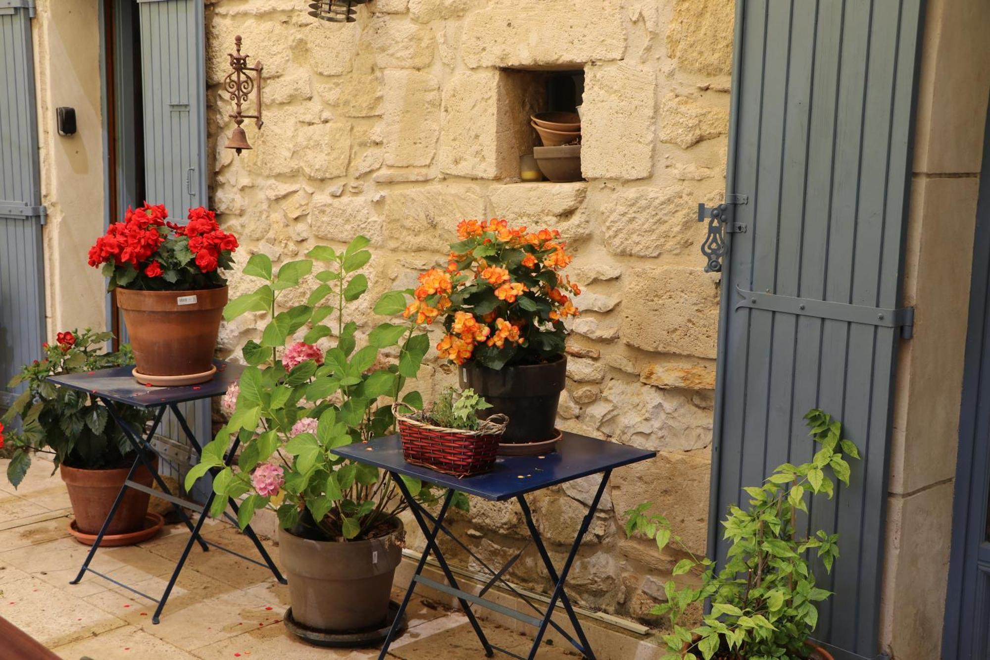 Le Mas Des Cerisiers Jacuzzi Et Sauna Inclus Pour Tous Les Logements Avignon Exteriér fotografie