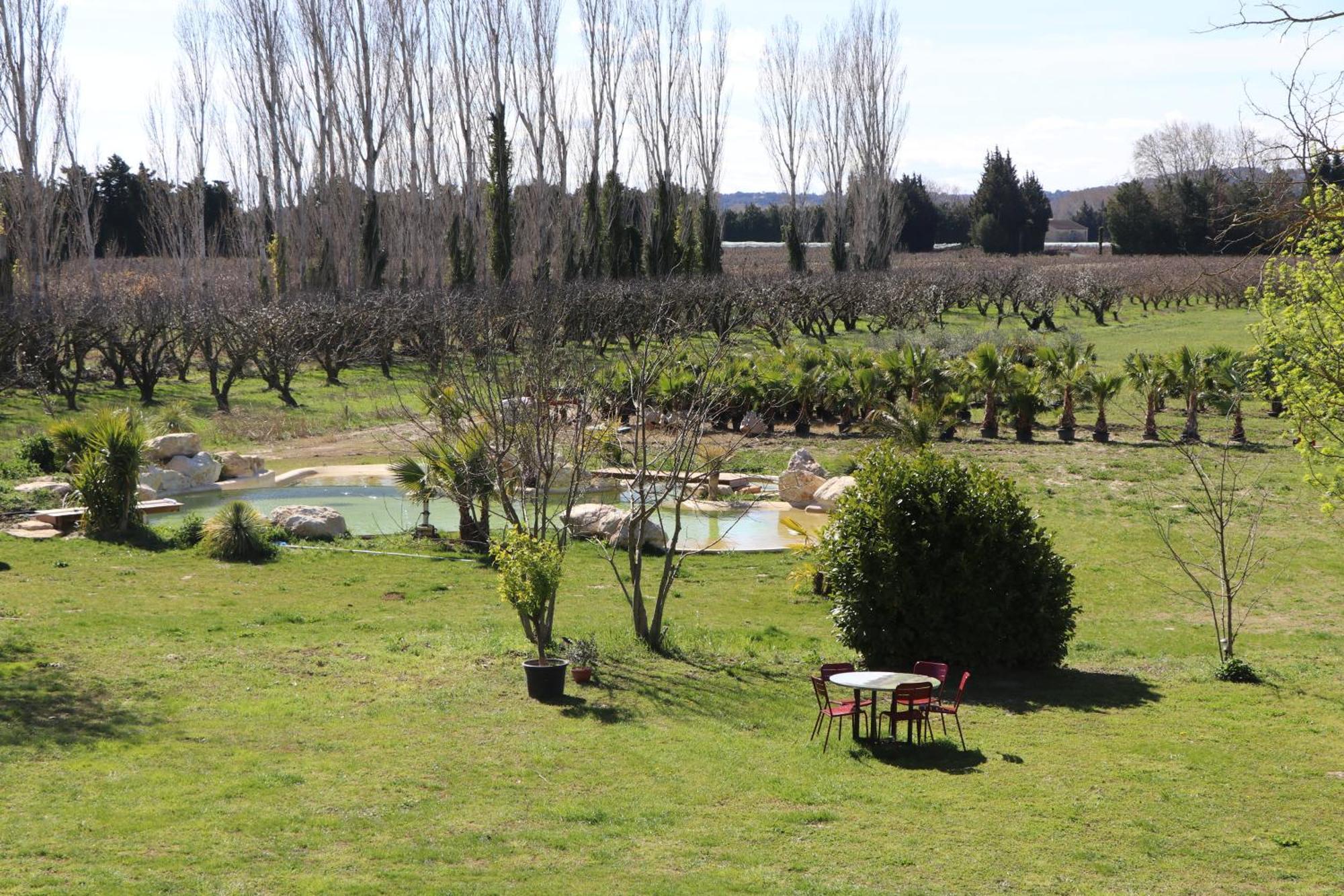Le Mas Des Cerisiers Jacuzzi Et Sauna Inclus Pour Tous Les Logements Avignon Exteriér fotografie