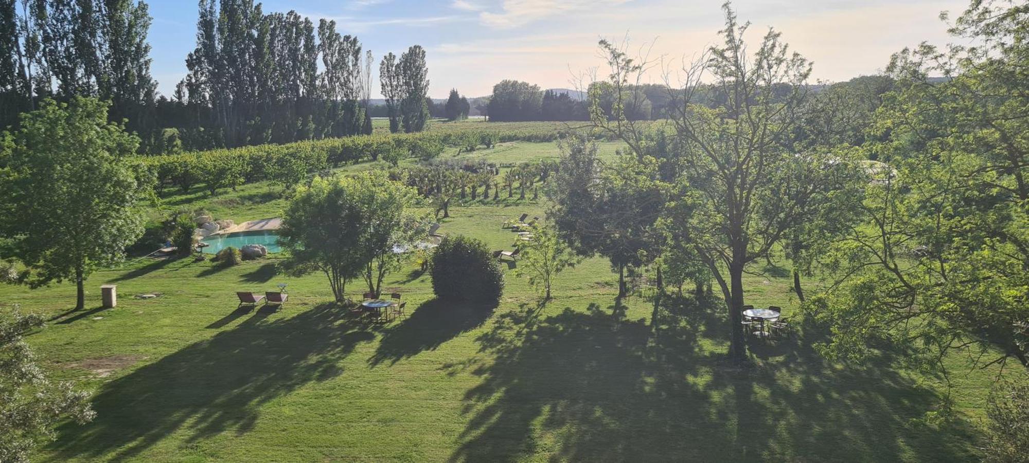 Le Mas Des Cerisiers Jacuzzi Et Sauna Inclus Pour Tous Les Logements Avignon Exteriér fotografie