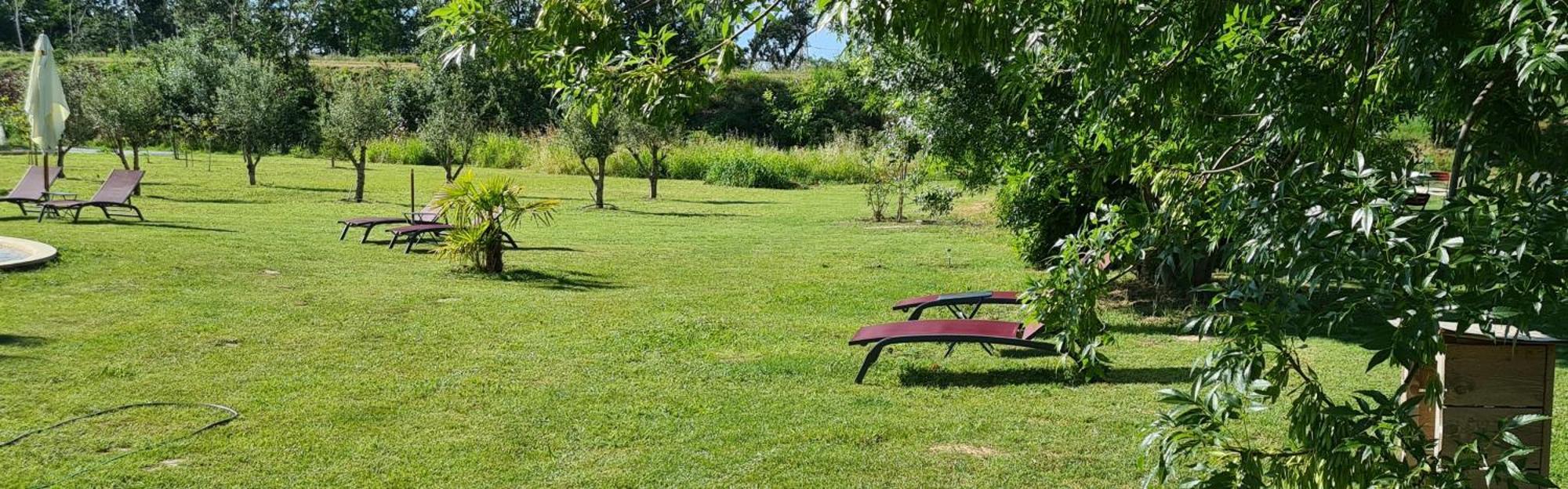 Le Mas Des Cerisiers Jacuzzi Et Sauna Inclus Pour Tous Les Logements Avignon Exteriér fotografie